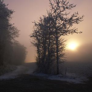 处女被奸叫痛轻点太深视频
